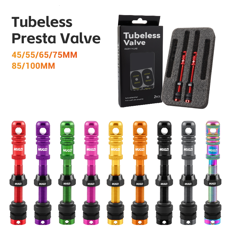 Mountain Biking In French - Valve Presta Tubeless pour vélo en