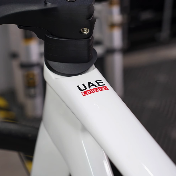 2x autocollants pour vélo, pou - Mountain Biking Uae avis et prix
