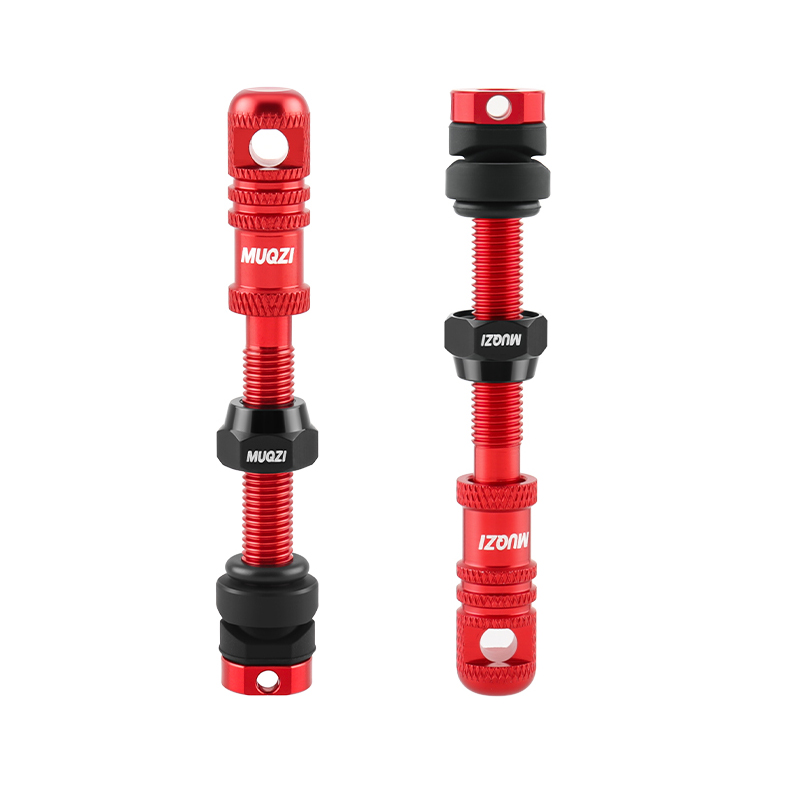 Valve Presta Tubeless pour vél - Mountain Biking In French avis et prix